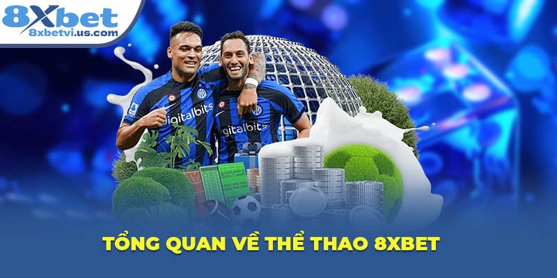 Tổng quan về Thể Thao 8XBET